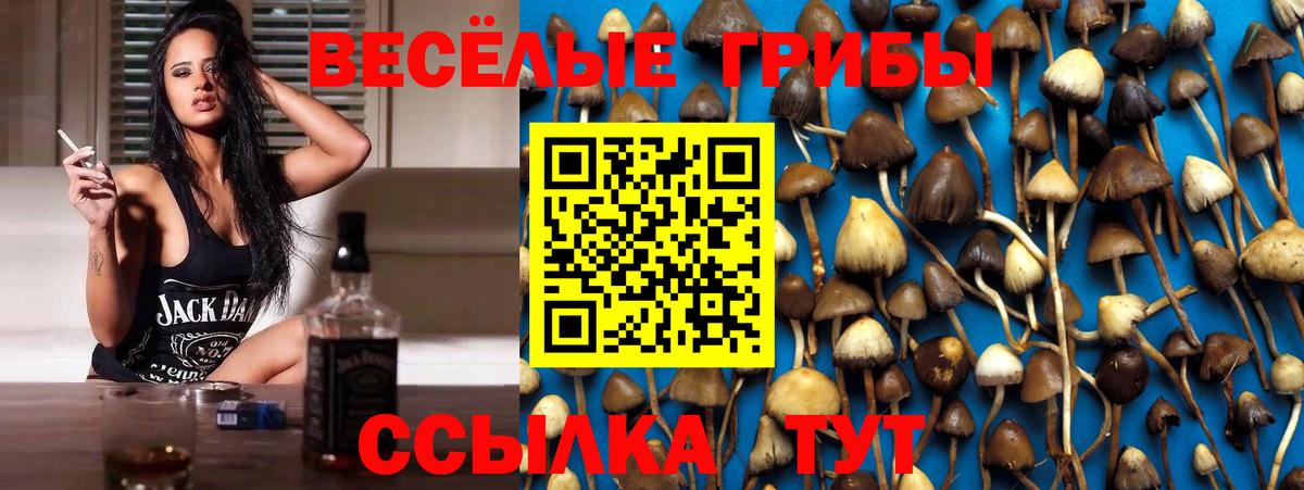 Псилоцибиновые грибы Magic Shrooms Каменск-Уральский
