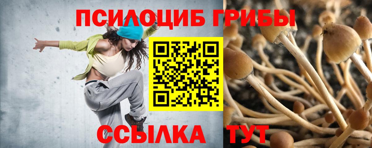 закладки  Псилоцибиновые грибы прущие грибы  Каменск-Уральский  Вход с VPN  Псилоцибиновые грибы Psilocybe 